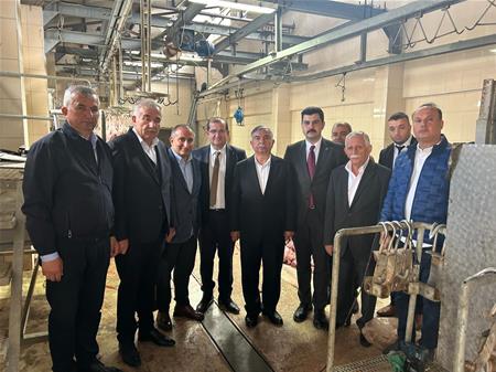 KURBAN BEREKETİNİ 1100 AİLE İLE PAYLAŞTIK....
