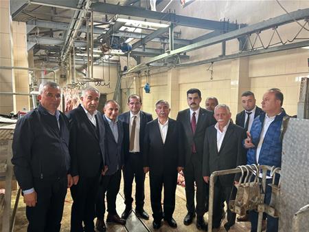 KURBAN BEREKETİNİ 1100 AİLE İLE PAYLAŞTIK....