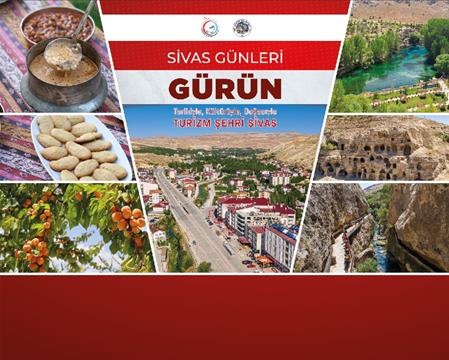 17. SİVAS GÜNLERİNDE BULUŞALIM